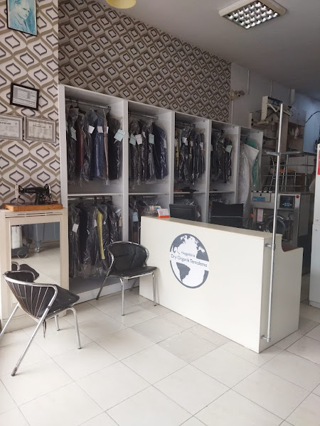 Dry System Kuru Temizleme logo