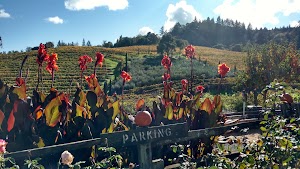 Rafanelli Winery - photo 88