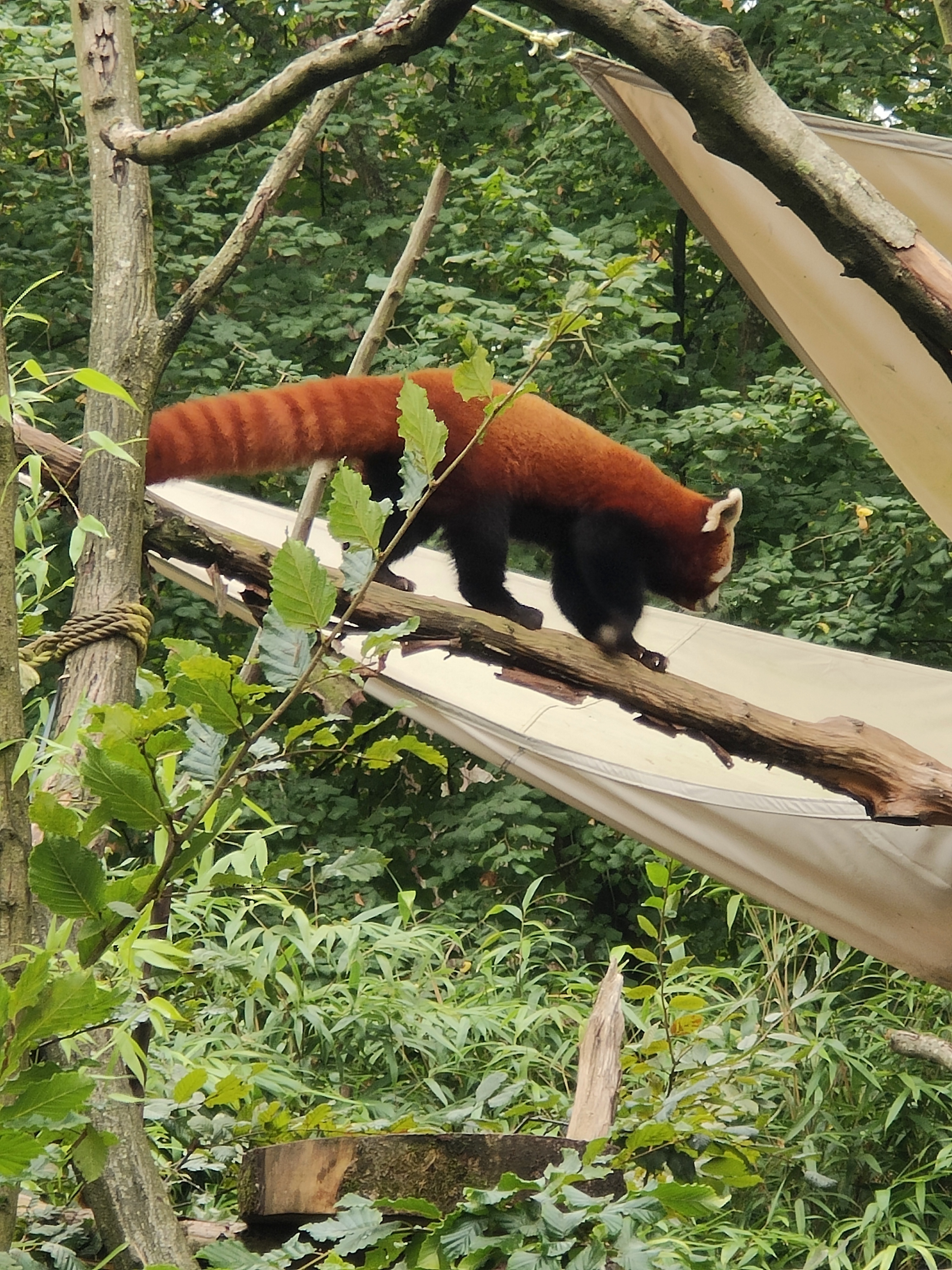 Photo n° 3 de l'avis de amourette.h fait le 19/09/2023 à 06:08