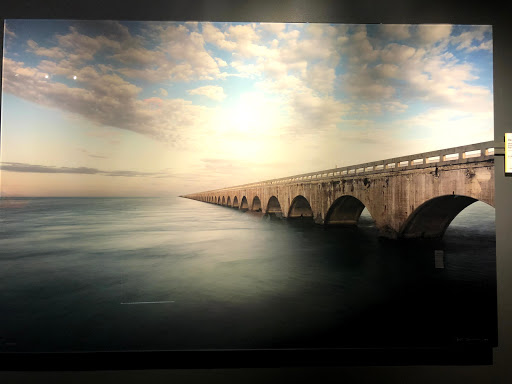 Art Gallery «National Geographic | Fine Art Galleries», reviews and photos, 607 E Las Olas Blvd, Fort Lauderdale, FL 33301, USA