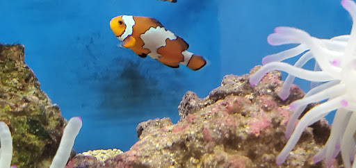 Pet Supply Store «Petco Animal Supplies», reviews and photos, 200 Center Blvd S, Christiana, DE 19702, USA