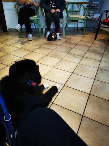 Tierärztliche Kooperationspraxis Blankenburg Dr. Czaderská und TA Czaderski unter Blankenburg, 