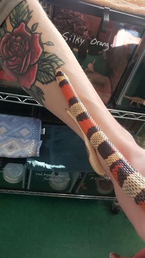 Pet Store «The Enclosure», reviews and photos, 1820 Golden Mile Hwy, Pittsburgh, PA 15239, USA