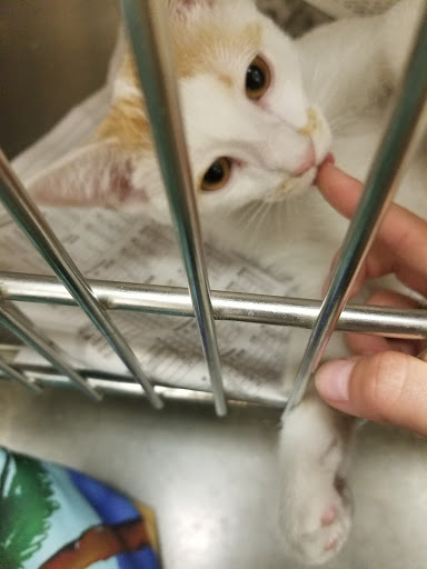 Pet Supply Store «PetSmart», reviews and photos, 73 RHL Blvd, South Charleston, WV 25309, USA