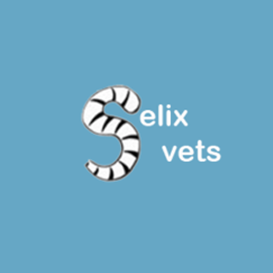 Vets for Elderly Pets - Appointments by Referral or Personal Recommendation only - Veterinarian