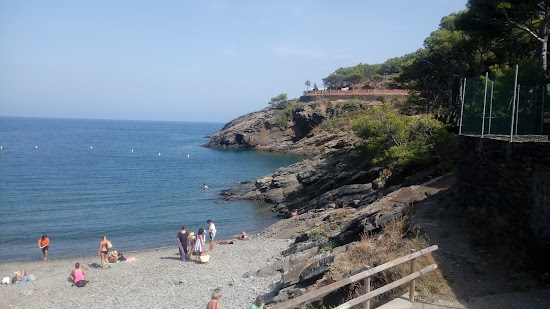 Platja de s'Alqueria