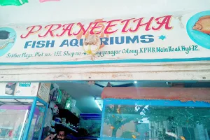 Praneetha Fish Aquariums image