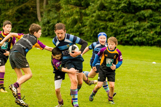 Seahorses Mini Rugby Belfast Open Times