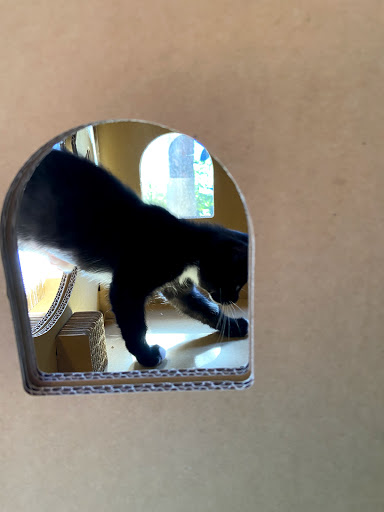 Pet Supply Store «Cole Valley Pets», reviews and photos, 910 Cole St, San Francisco, CA 94117, USA