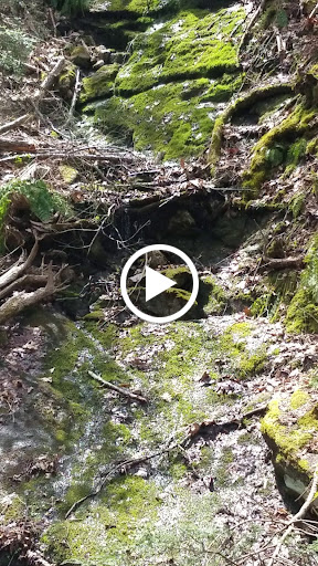 Nature Preserve «Cotton Hollow Preserve», reviews and photos, 493 Hopewell Rd, South Glastonbury, CT 06073, USA