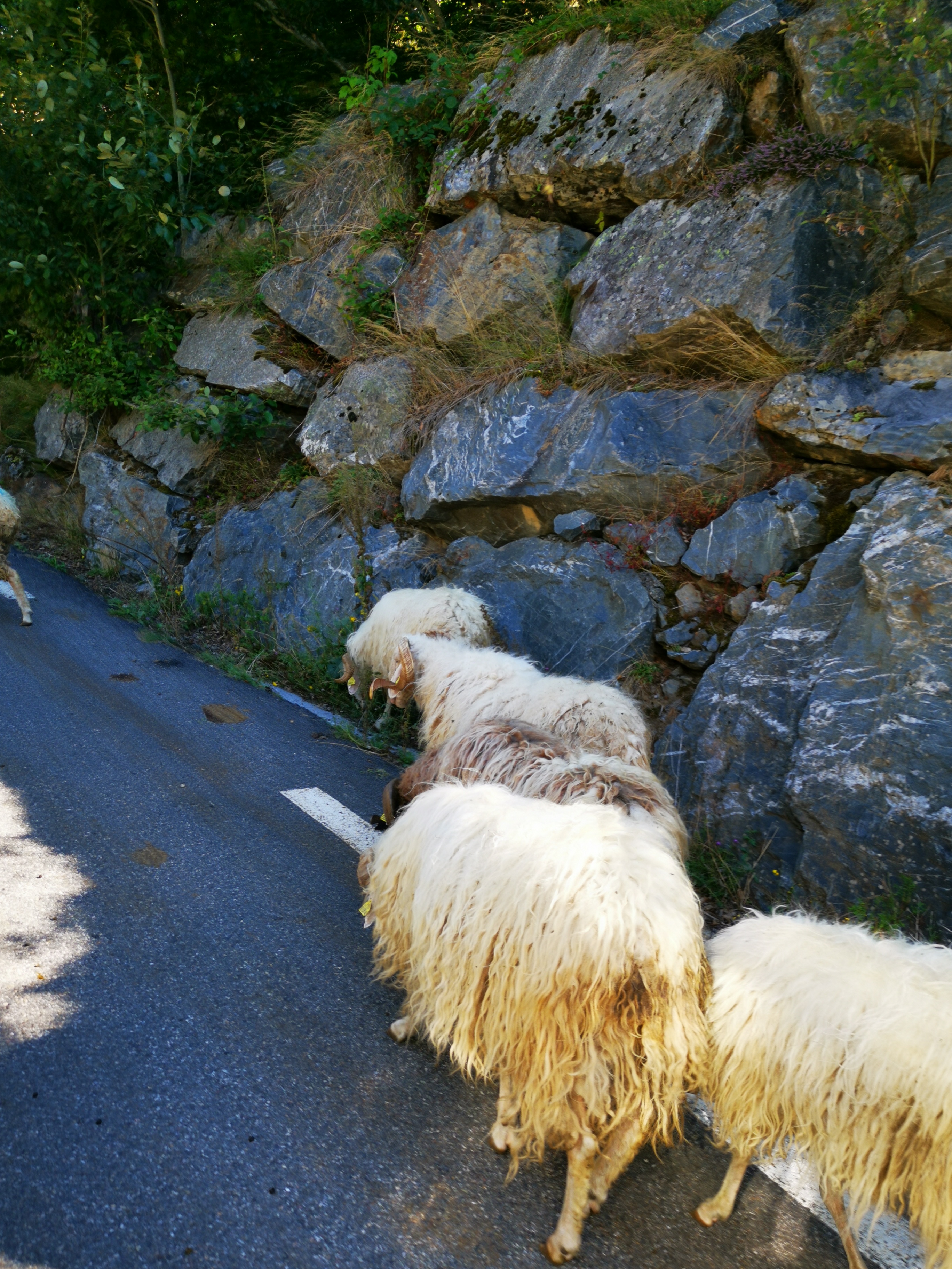 Photo n° 1 de l'avis de nanou.' fait le 20/08/2020 à 19:37