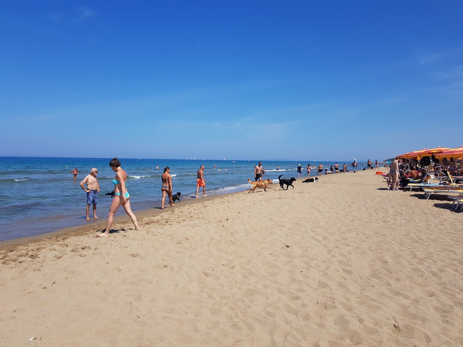 Foto de Spiaggia di Rimigliano con recta y larga