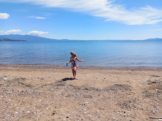 Dimitriada beach