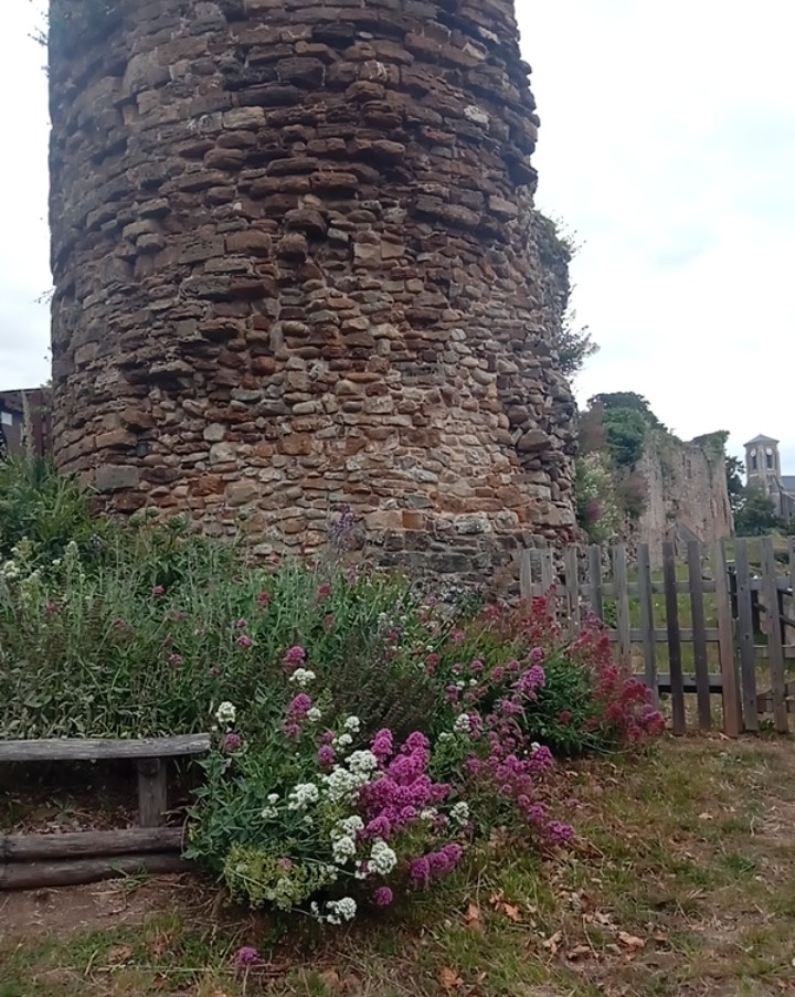 Photo n° 4 de l'avis de Dany. fait le 09/06/2019 à 17:14