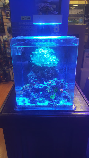 Pet Store «Reeftop Aquariums-Pet Boutique», reviews and photos, 13250 SW 87th Ave, Miami, FL 33176, USA