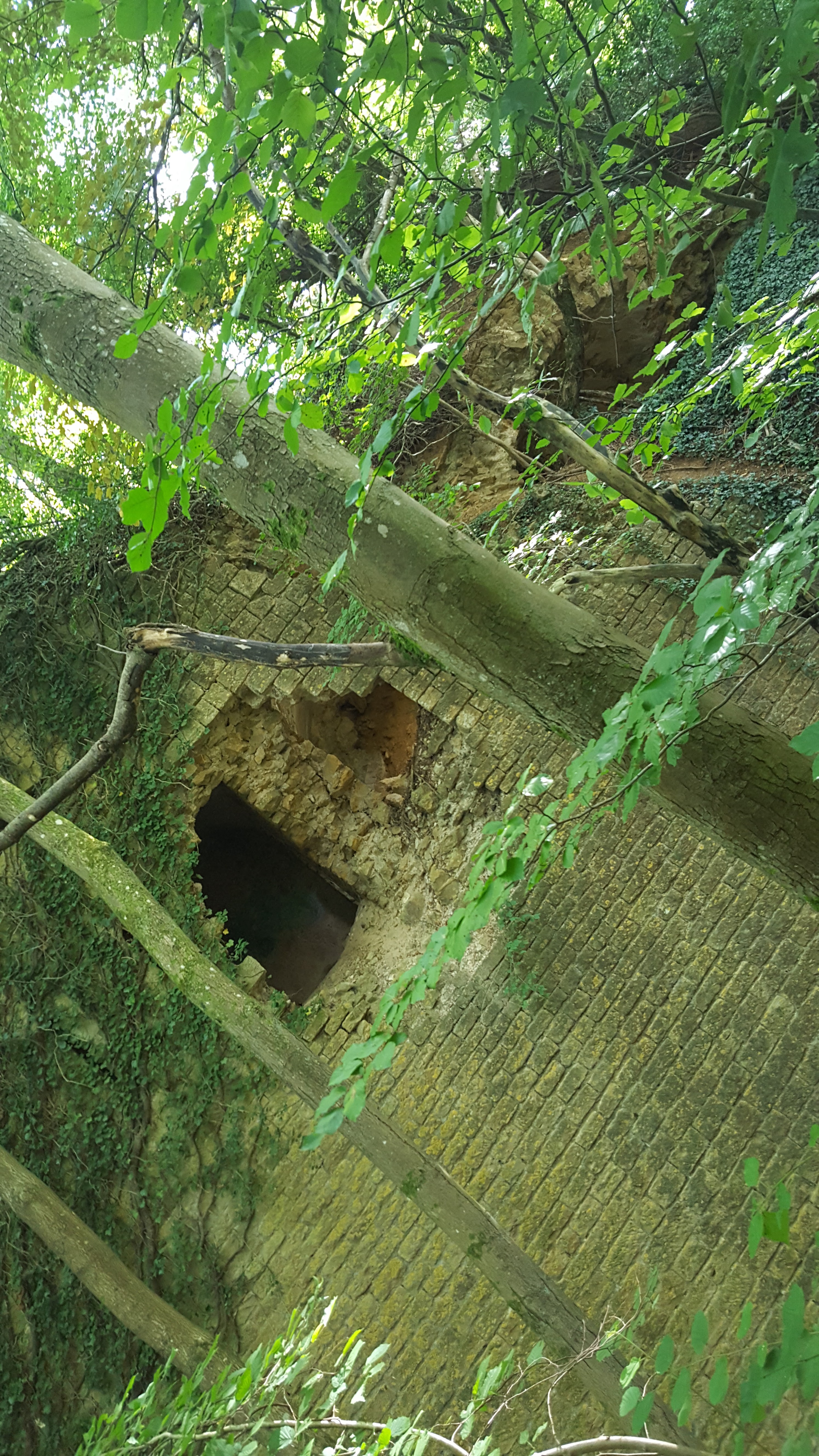 Photo n° 5 de l'avis de Virginie. fait le 29/08/2018 à 06:43