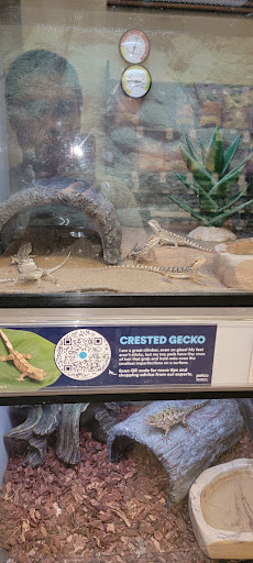 Shopping Mall «Rainbow Springs Shopping Center», reviews and photos, 3615 S Rainbow Blvd, Las Vegas, NV 89103, USA