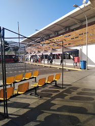 Terminal de Buses Illapel