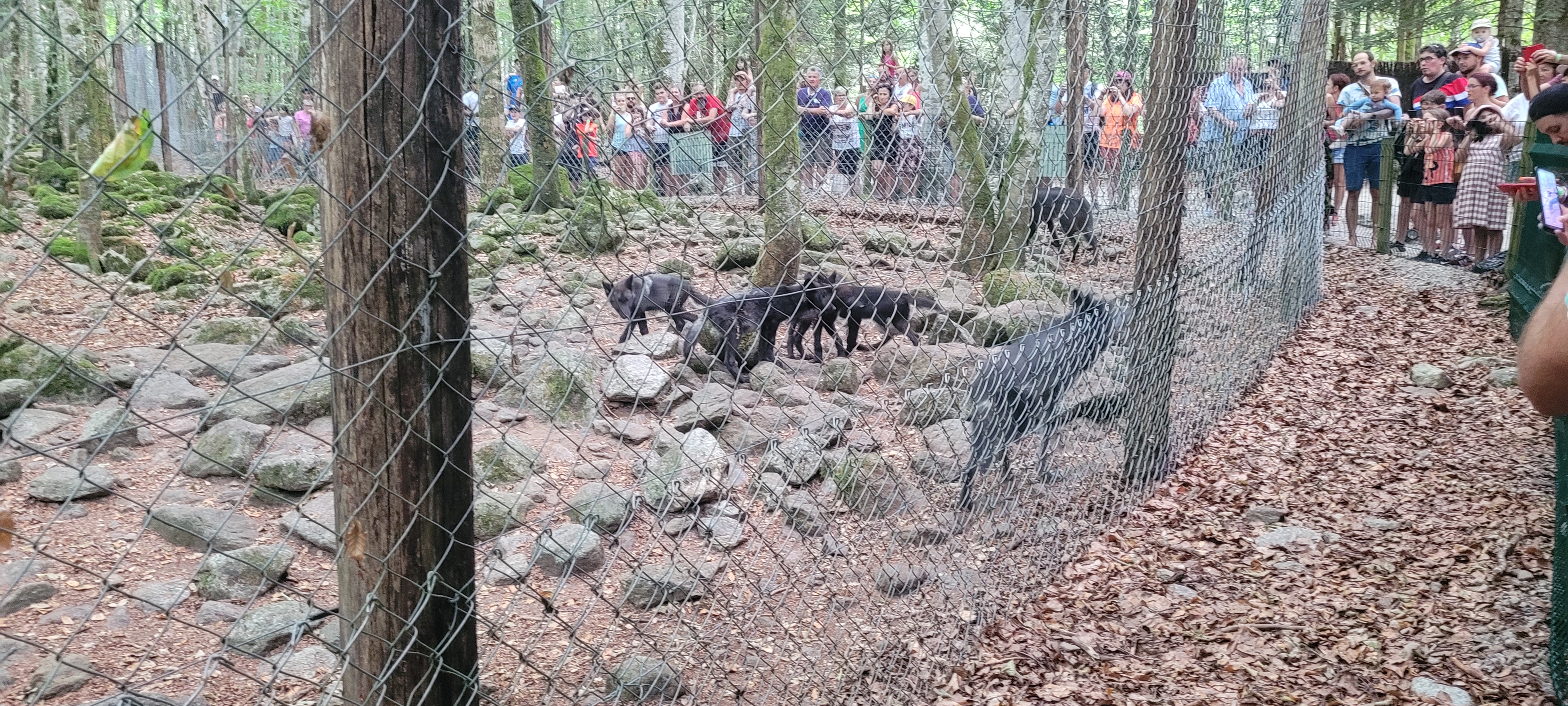 Photo n° 1 de l'avis de Sandra.e fait le 14/08/2022 à 10:14