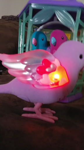 Fabric Store «Jo-Ann Fabrics and Crafts», reviews and photos, 137 Merchants Row # 165, Arlington, TX 76018, USA