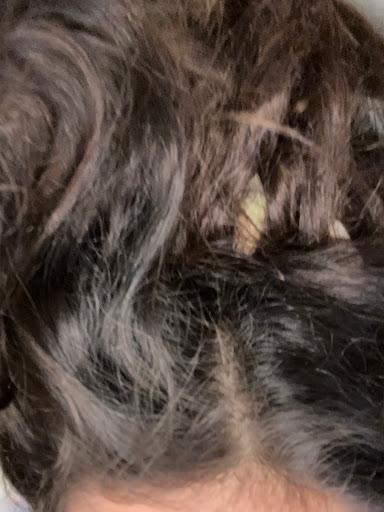 Day Spa «Serenity Day Spa», reviews and photos, 1123 Luchessi Dr, San Jose, CA 95118, USA