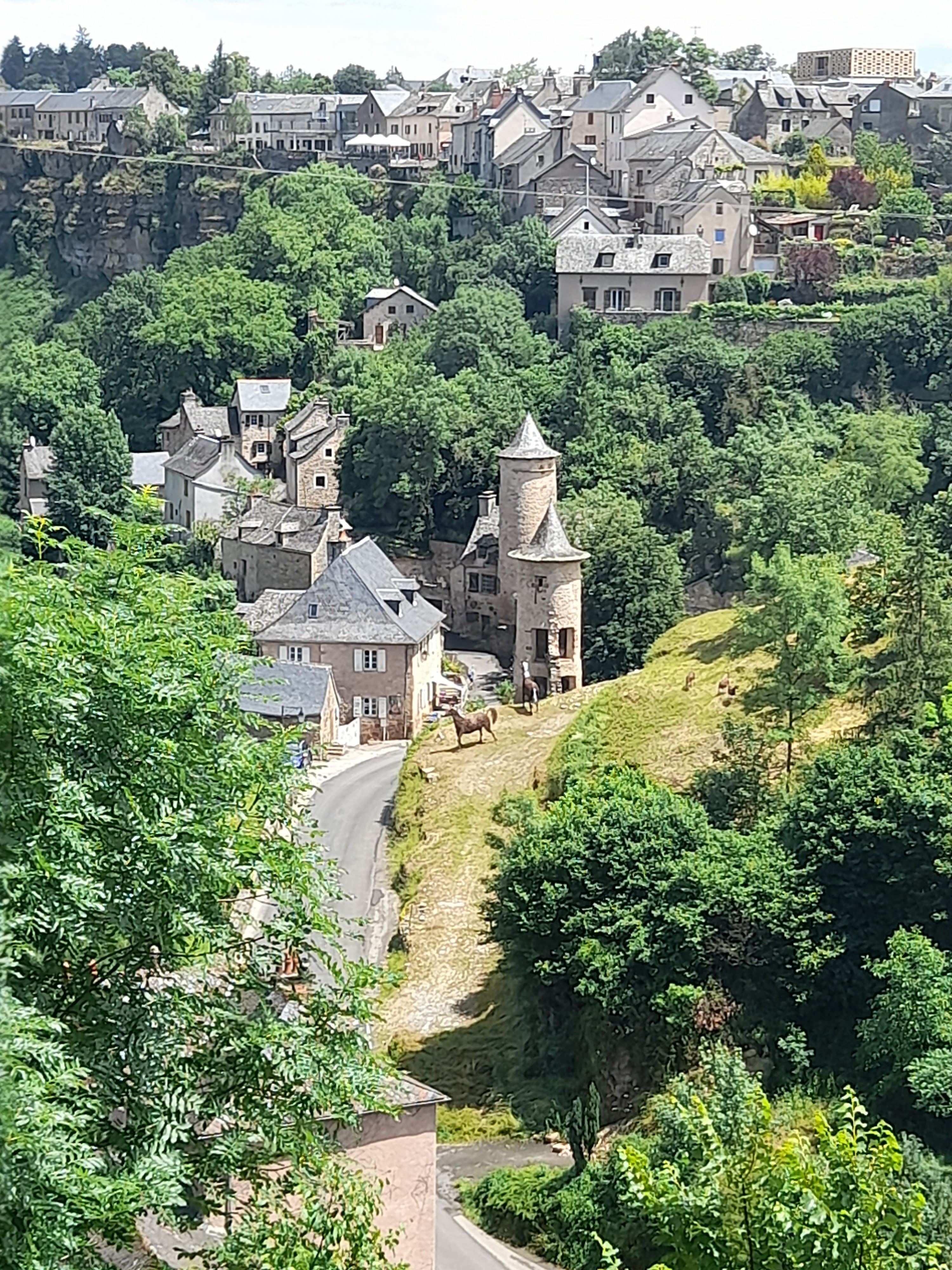 Photo n° 10 de l'avis de Muriel.o fait le 21/06/2021 à 14:03