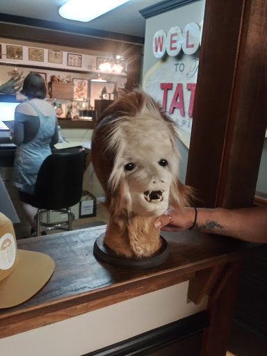 Tattoo Shop «Tough Luck», reviews and photos, 17728 Coastal Hwy, Lewes, DE 19958, USA