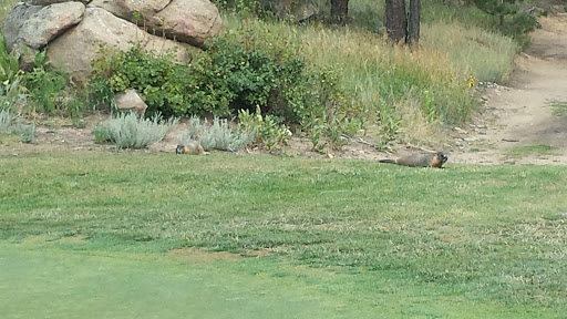 Golf Course «Evergreen Golf Course», reviews and photos, 29614 Upper Bear Creek Rd, Evergreen, CO 80439, USA