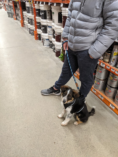 Home Improvement Store «The Home Depot», reviews and photos, 8053 Challis Rd, Brighton, MI 48116, USA
