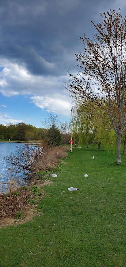 Centennial Park Picnic area 8