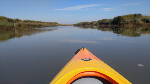 Park «Alviso Marina County Park», reviews and photos, 1195 Hope St, Alviso, CA 95002, USA