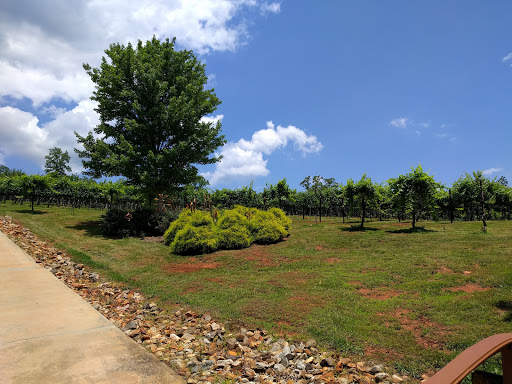 Winery «Wolf Mountain Vineyards», reviews and photos, 180 Wolf Mountain Trail, Dahlonega, GA 30533, USA