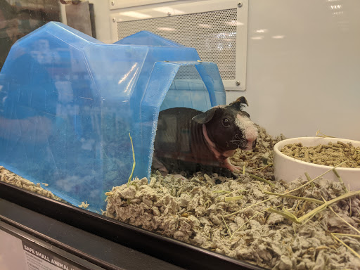 Pet Supply Store «Petco Animal Supplies», reviews and photos, 1815 Newport Blvd b, Costa Mesa, CA 92627, USA