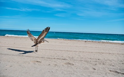 South Florida Wildlife Center image