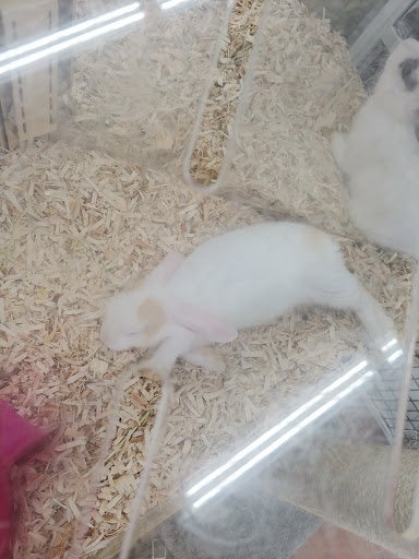 Pet Supply Store «Pet Supermarket», reviews and photos, 7805 Abercorn St, Savannah, GA 31406, USA