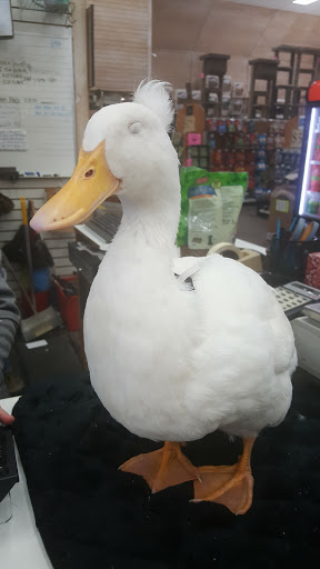 Pet Supply Store «Concord Feed Pet & Livestock Supplies», reviews and photos, 228 Hookston Rd, Pleasant Hill, CA 94523, USA