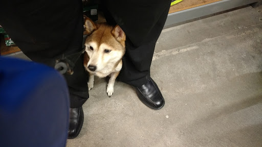 Pet Supply Store «Western Ranch & Pet Supply», reviews and photos, 103 Aegean Way, Vacaville, CA 95687, USA