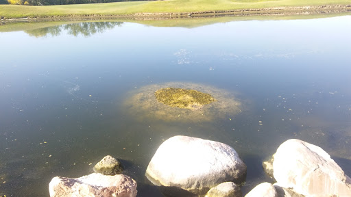 Country Club «Ventana Canyon Golf & Racquet Club», reviews and photos, 6200 N Club House Ln, Tucson, AZ 85750, USA