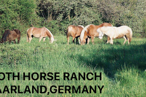 Roth Horse Ranch image