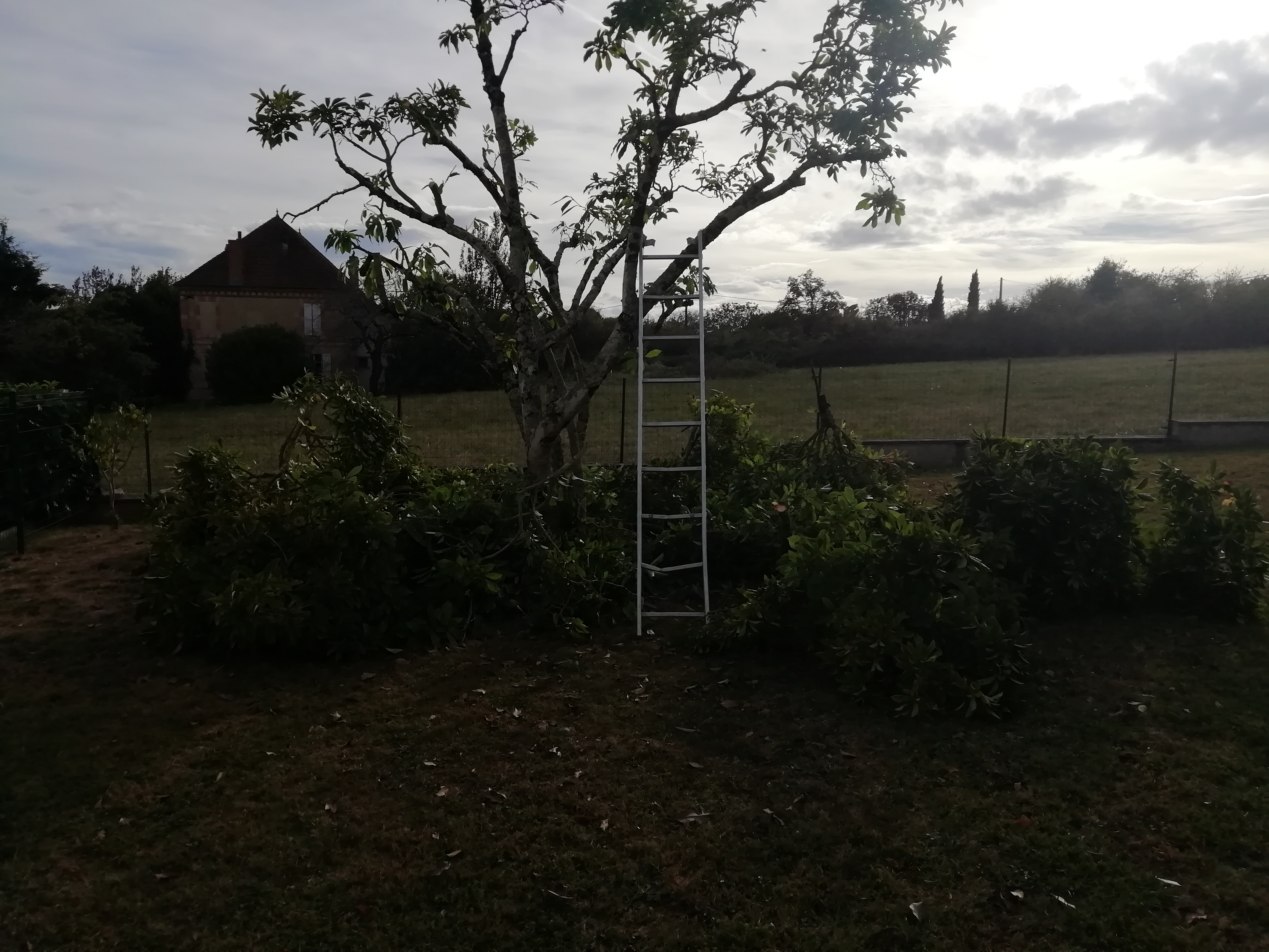 Photo n° 3 de l'avis de Caroline.r fait le 18/10/2023 à 17:39