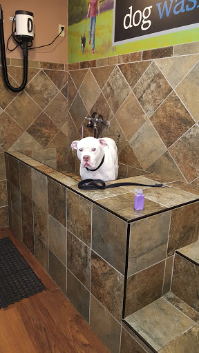 Pet Store «Pet Valu», reviews and photos, 1832 Bethlehem Pike, Flourtown, PA 19031, USA