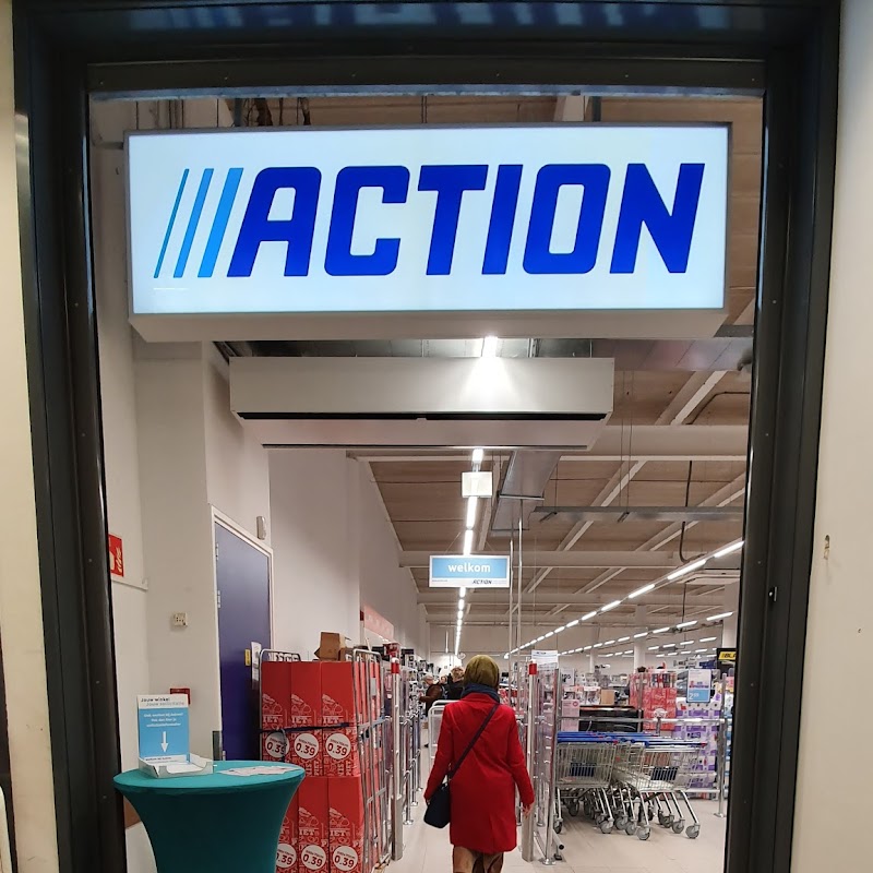 Action Zaandam