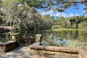 Jacksonville Arboretum & Botanical Gardens image