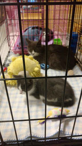 Pet Supply Store «PetSmart», reviews and photos, 11835 Retail Dr, Wake Forest, NC 27587, USA