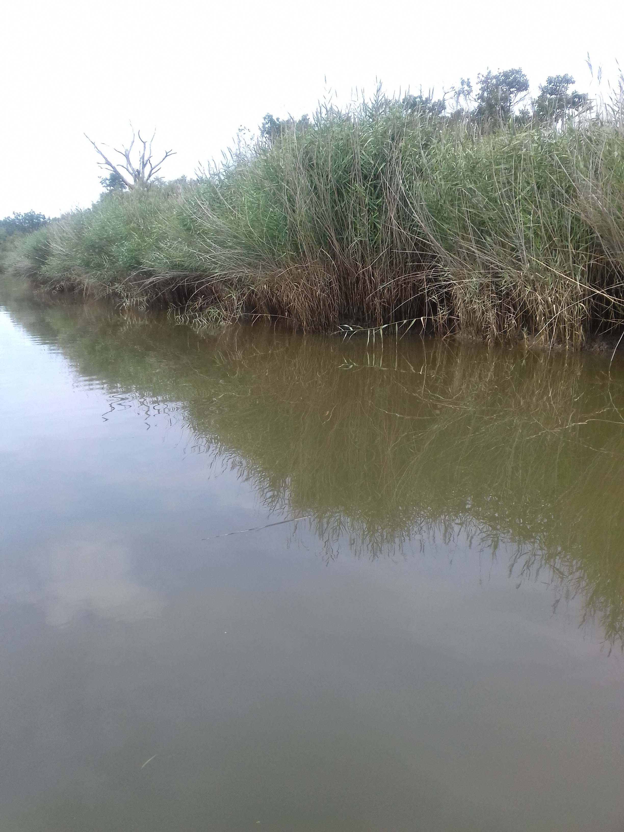 Photo n° 2 de l'avis de Lallier.a fait le 06/08/2019 à 13:27