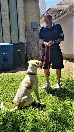 TP's Dog Training of San Antonio