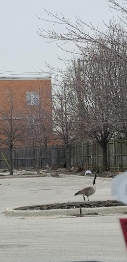 Movie Theater «AMC Classic Galewood Crossings 14», reviews and photos, 5530 W Homer St, Chicago, IL 60639, USA