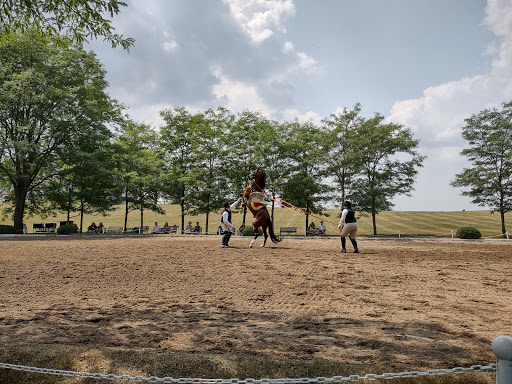 Tourist Attraction «The Tempel Lipizzans», reviews and photos, 17000 W Wadsworth Rd, Old Mill Creek, IL 60083, USA