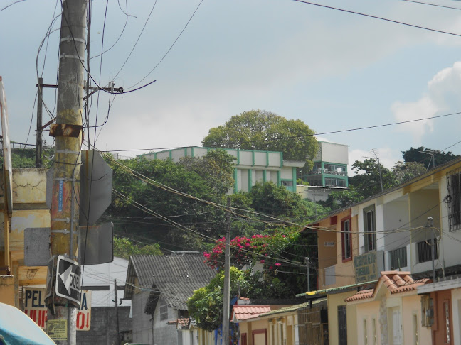 Comentarios y opiniones de Colegio Dolores Sucre