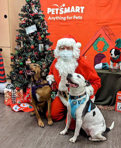 Pet Supply Store «PetSmart», reviews and photos, 3995 Welsh Rd, Willow Grove, PA 19090, USA